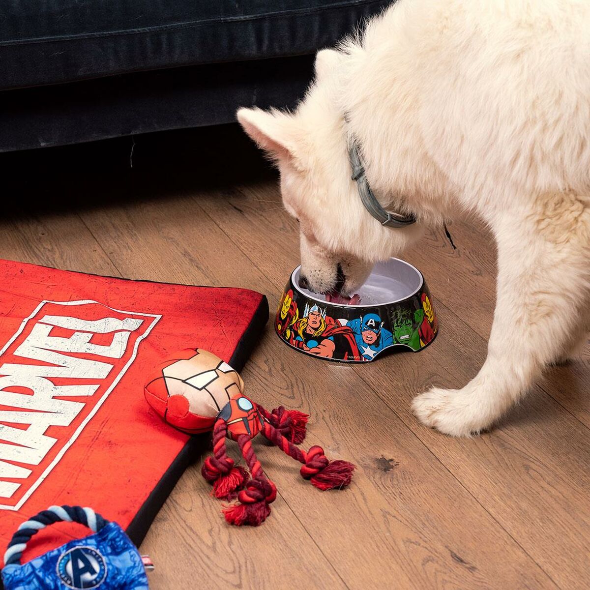 Karmnik dla psów Marvel Melamina 180 ml Czerwony Metal
